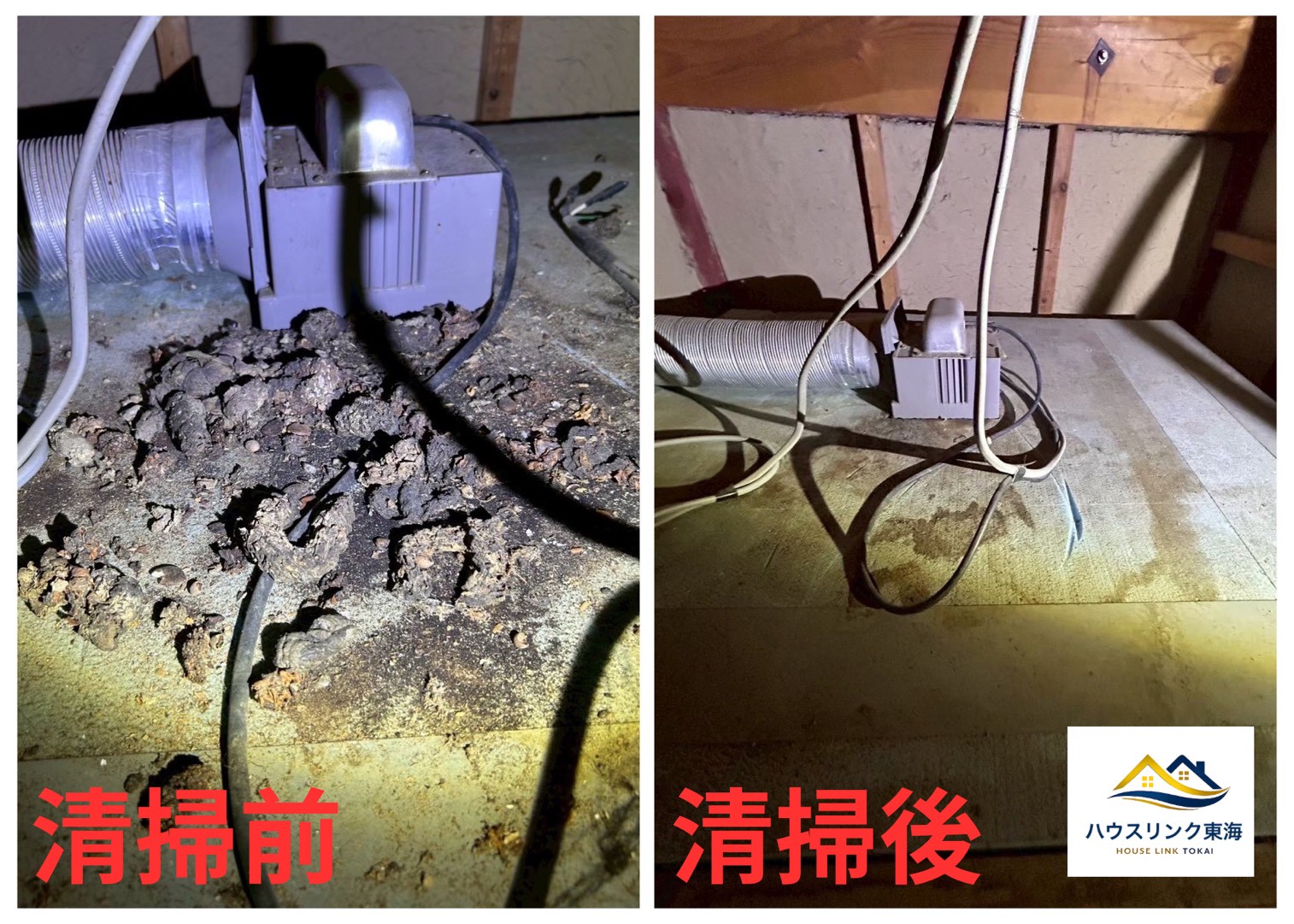 小型動物のフン清掃
