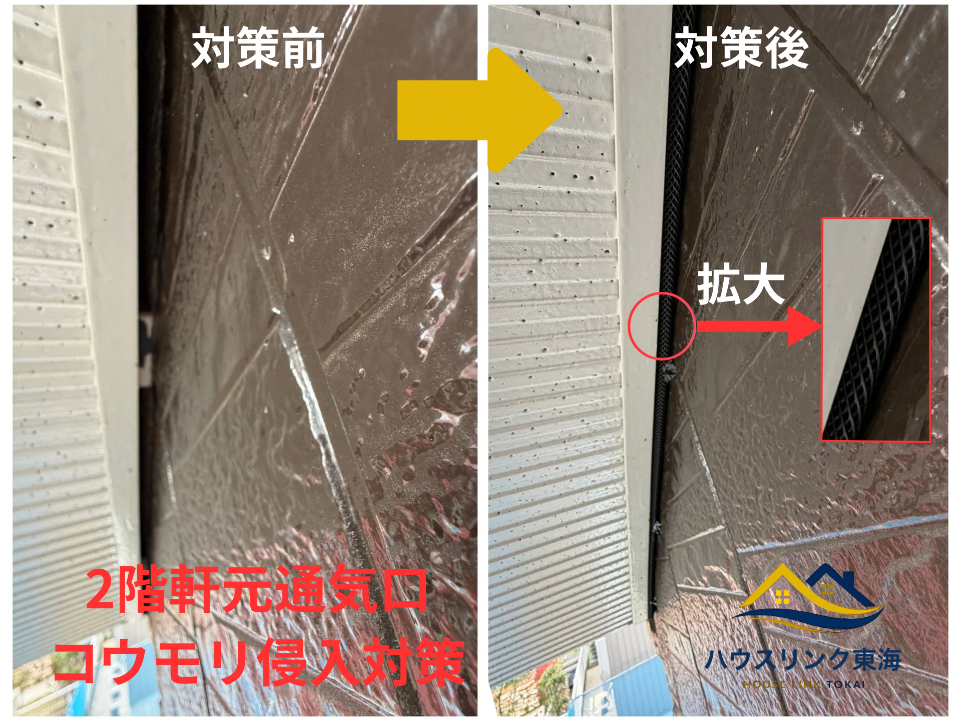 2階軒元(通気口)のコウモリ侵入対策