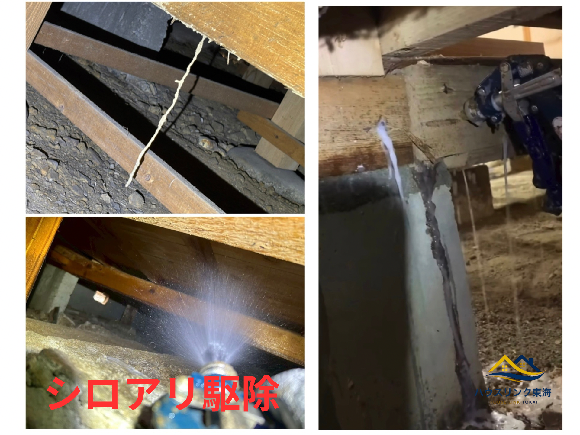 シロアリ駆除